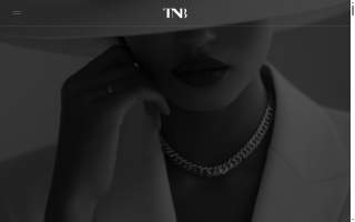 The N Brand Agency website