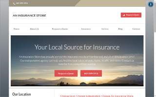 An Insurance Store website