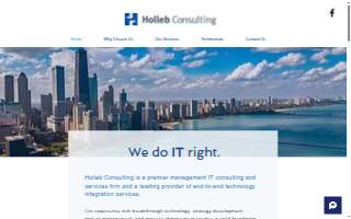 Holleb Consulting Inc website