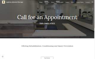 Team Sapiens Physical Therapy website
