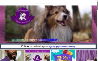 Puppy Haberdashery Tinley Park of Oak Forest website