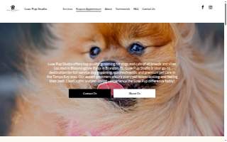 Lindy Cleaners website