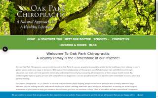Oak Park Chiropractic website