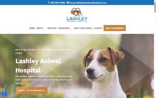 Lashley Animal Hospital of O'Fallon website
