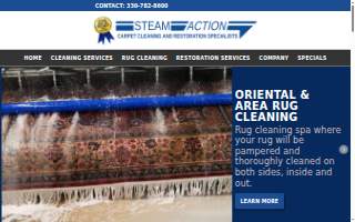 Steam Action Carpet Cleaning website