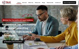 Tax Solutions Pro website