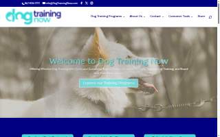 Dog Training Now of Palatine website