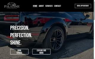 Palatine Auto Detail website