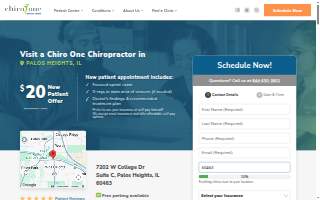 Chiro One Chiropractic & Wellness Center of Palos Heights website