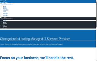 Apex IT Services website