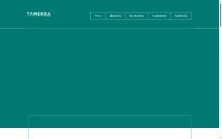 Tamerra Tax Services website