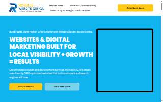 Website Design Roselle IL website