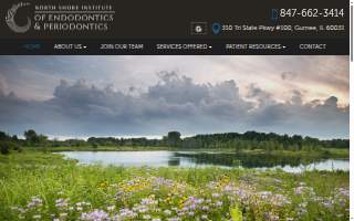 North Shore Institute of Endodontics and Periodontics website