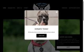 Angel Paws Pet Sitting and grooming website