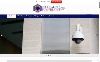 Blue Caliber Surveillance of Schaumburg website