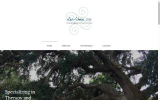 Detail Painting LLC of Schaumburg website