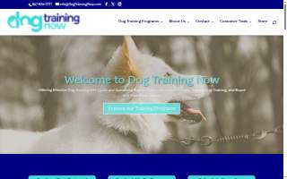 Dog Training Now of Schaumburg website