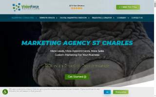 Vision Force Marketing of Geneva website