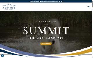 Summit Animal Hospital website