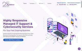 Hodgson Consulting & Solutions of Buffalo Grove website
