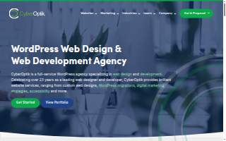 CyberOptik website