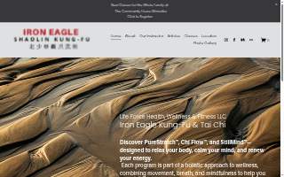 Iron Eagle KungFu & Tai Chi/ Life Force Health & Wellness & Fitness LLC website