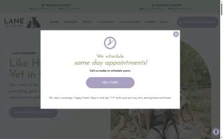 Lane Veterinary - Elmhurst website