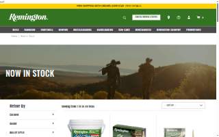 Remington Architecture website