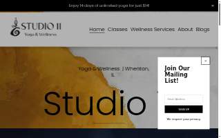 Studio 11 Yoga & Wellness website