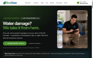 EcoClean of Woodridge website