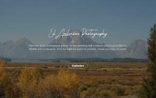 Anderson Photo Studio & Graphics website