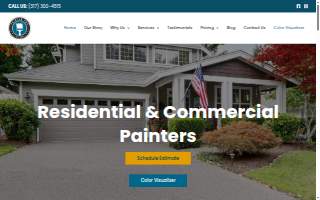 Painter Pro website