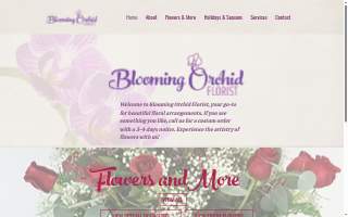 Blooming Skin Care & Acne Clinic website