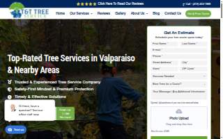 T & T Tree Service website