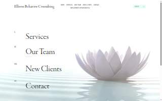 Ellison Behavior Consulting website
