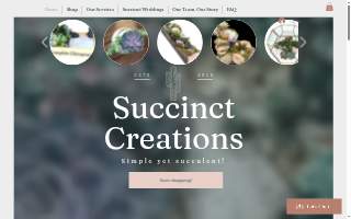 Succinct Creations website