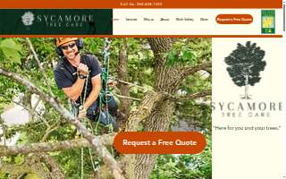 Sycamore Tree Care website