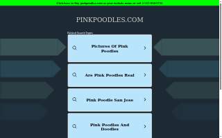 Pink Poodle website