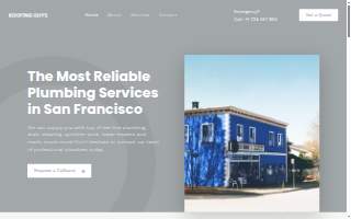 Roofing Guys website