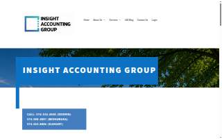 Insight Accounting Group website