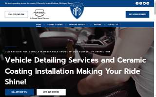 Apex Paradigm Detailing website