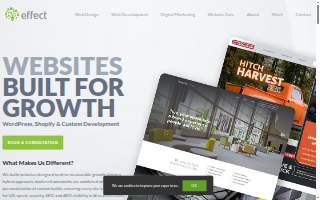 Effect Web Agency website