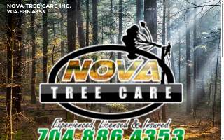 Nova Tree Care website