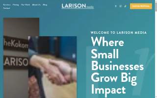 Larison Media website