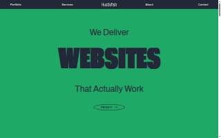 HustleFish - Website Design, SEO, and Advertising website