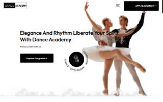 4.1.3. Dance Academy website
