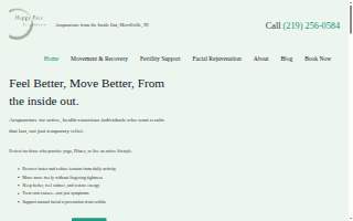 Happy Face Acupuncture of Merrillville website