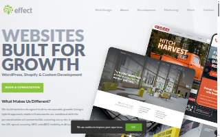 Effect Web Agency website