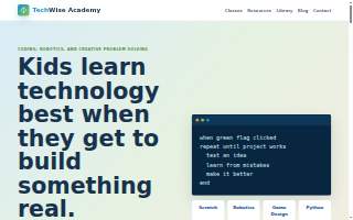 TechWise Academy website