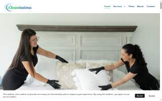Cleanissima website